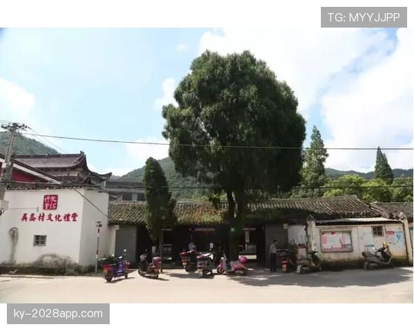 张楠退役后住进北京四合院，每天打太极遛狗，这日子比娱乐圈老干部还闲