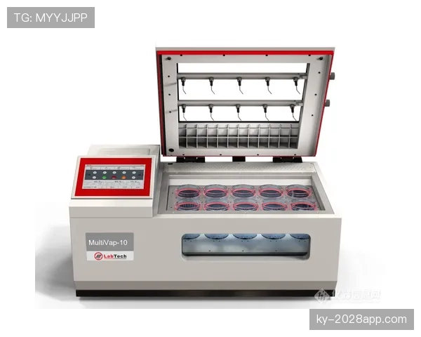 恩东贝莱状态起伏对法国队中场布局的影响分析