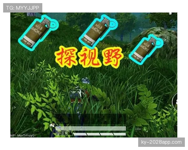 非法掩护的具体判定标准是什么？带你解析掩护动作的正确做法。